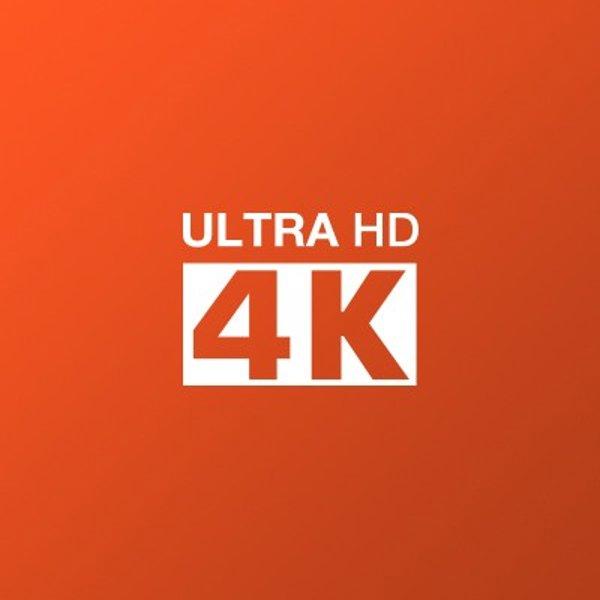 Fox 55WOS626D smart TV