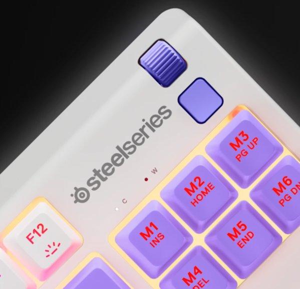 SteelSeries Apex 3 TKL Amethyst - US tastatura