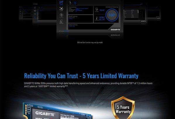 Gigabyte GP-GSM2NE3100TNTD