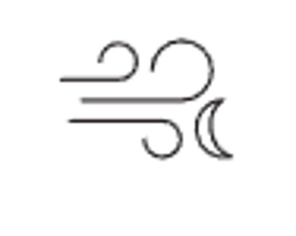 GARMIN Forerunner 970 Purple smartwatch