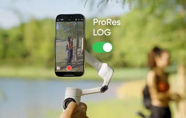 Insta360 Flow 2 Pro Creator Bundle / Stone Gray