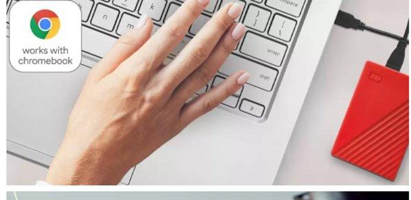 Western Digital WDBYVG0010BBK-WESN