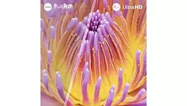 PHILIPS 75PUS7000/12 smart TV