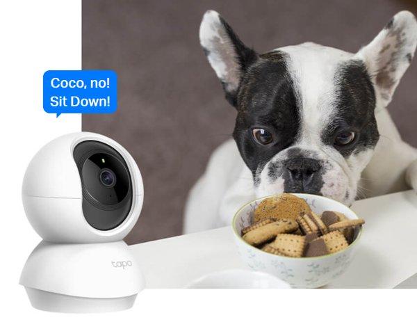 TP-LINK TC71 security kamera