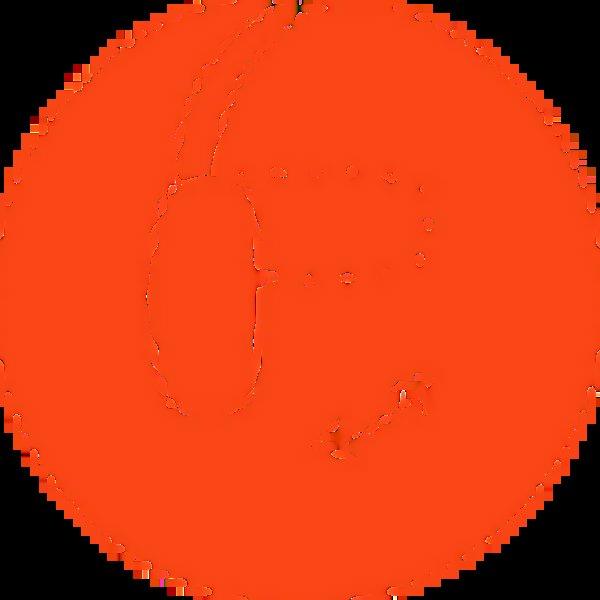 JBL Tune 670NC Purple