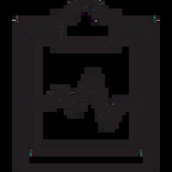 Garmin Forerunner 165 Music (Crna)