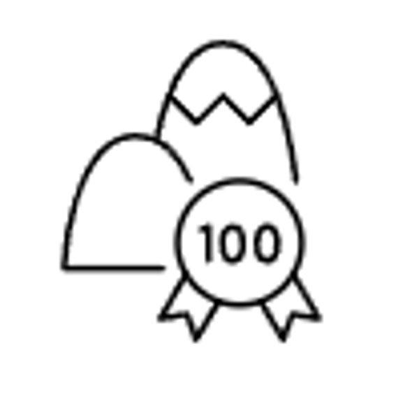 Garmin Venu X1  Gold smartwatch