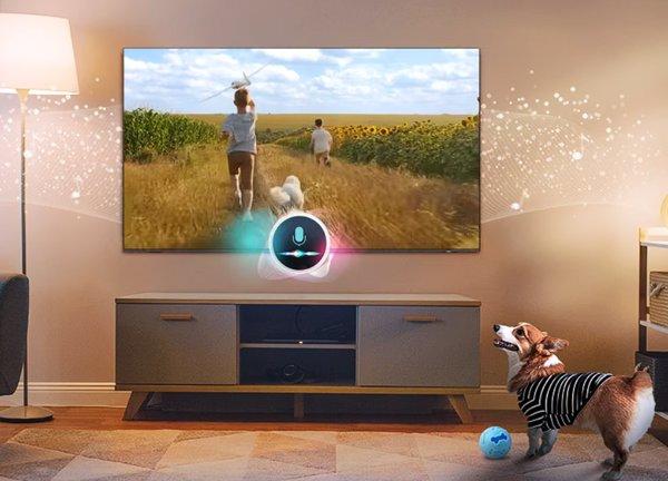 Samsung 75-inch QN80F Neo QLED 4K Samsung Vision AI Smart TV (2025)