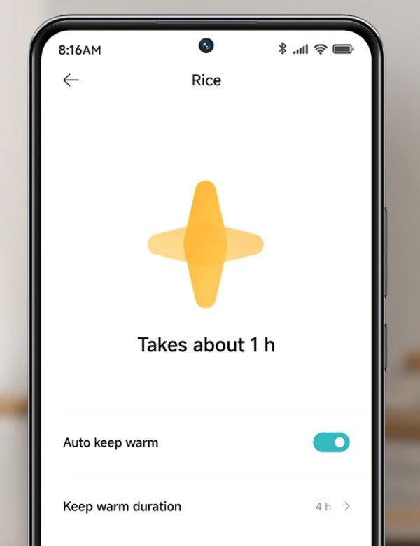 Xiaomi Multifuncional Rice Cooker