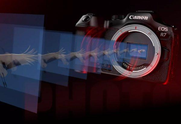 Canon EOS R7 Mirrorless