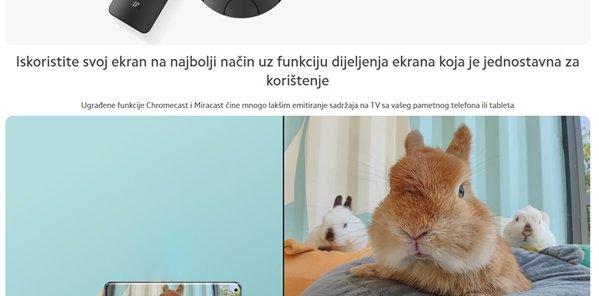 Xiaomi Mi TV P1 43