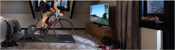 Garmin Tacx Flux S Smart